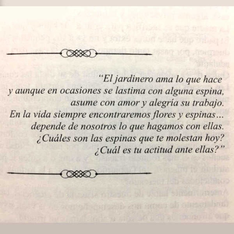 Libro desde el Coaching y La PNL Trazos de Luz